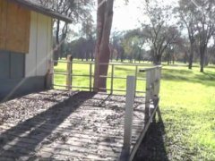 Se intalnesc in parc si face o muie cu finalizare