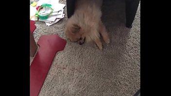 Scoate pula prin blugi si trage la muie surorii dornice de sperma