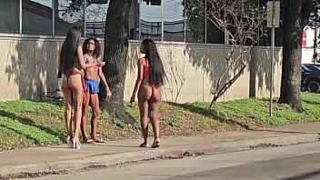 Video cu panarama platita sa stea capra la futai